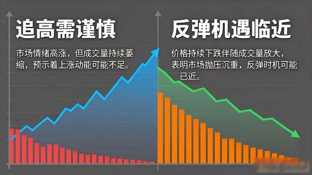 比特派钱包体系_2021比特派钱包使用视频_如何在比特派钱包内进行市场分析？
